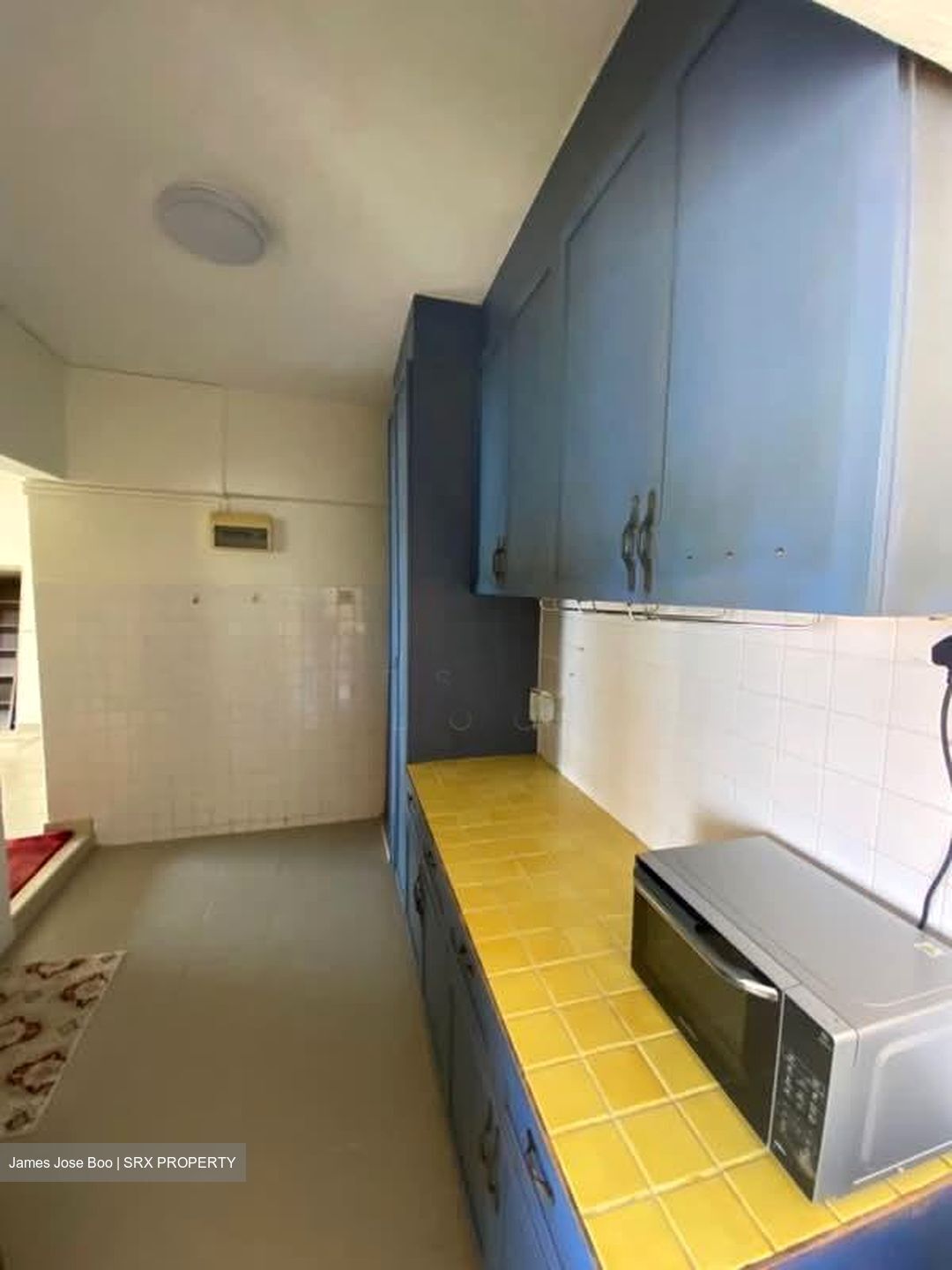 Neptune Court (D15), Apartment #579732991